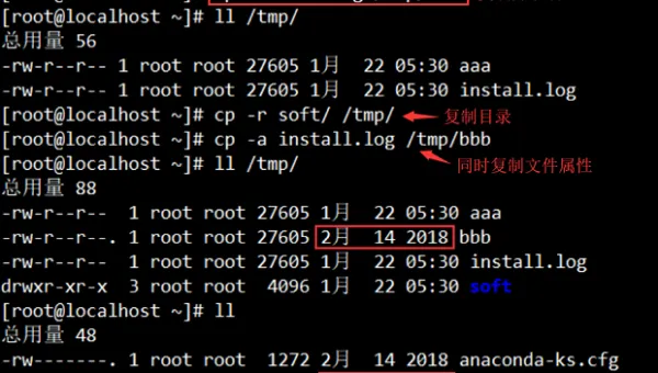 linux cat命令详解-安防技术网